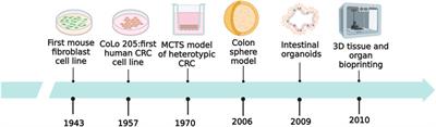 Overview of research progress and application of experimental models of colorectal cancer